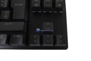 Drevo Tyrfing V2 14