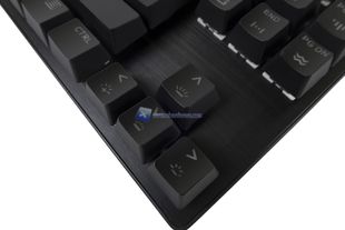 Drevo Tyrfing V2 16
